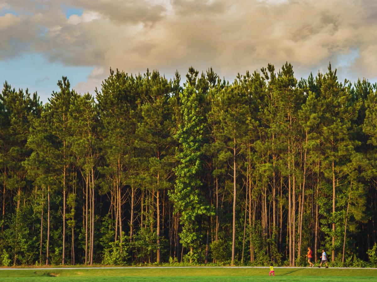 Station Park, Knightdale, NC